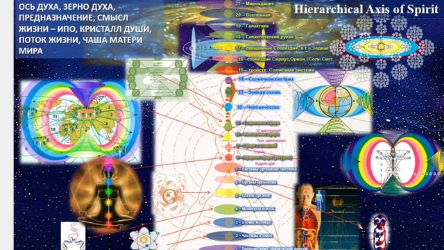 ЧТО ТАКОЕ СЕРДЕЧНОСТЬ? Чем отличается Сердечность от бессердечности?