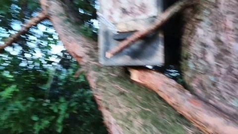 31.07.25. Проверка +3 роя!!!