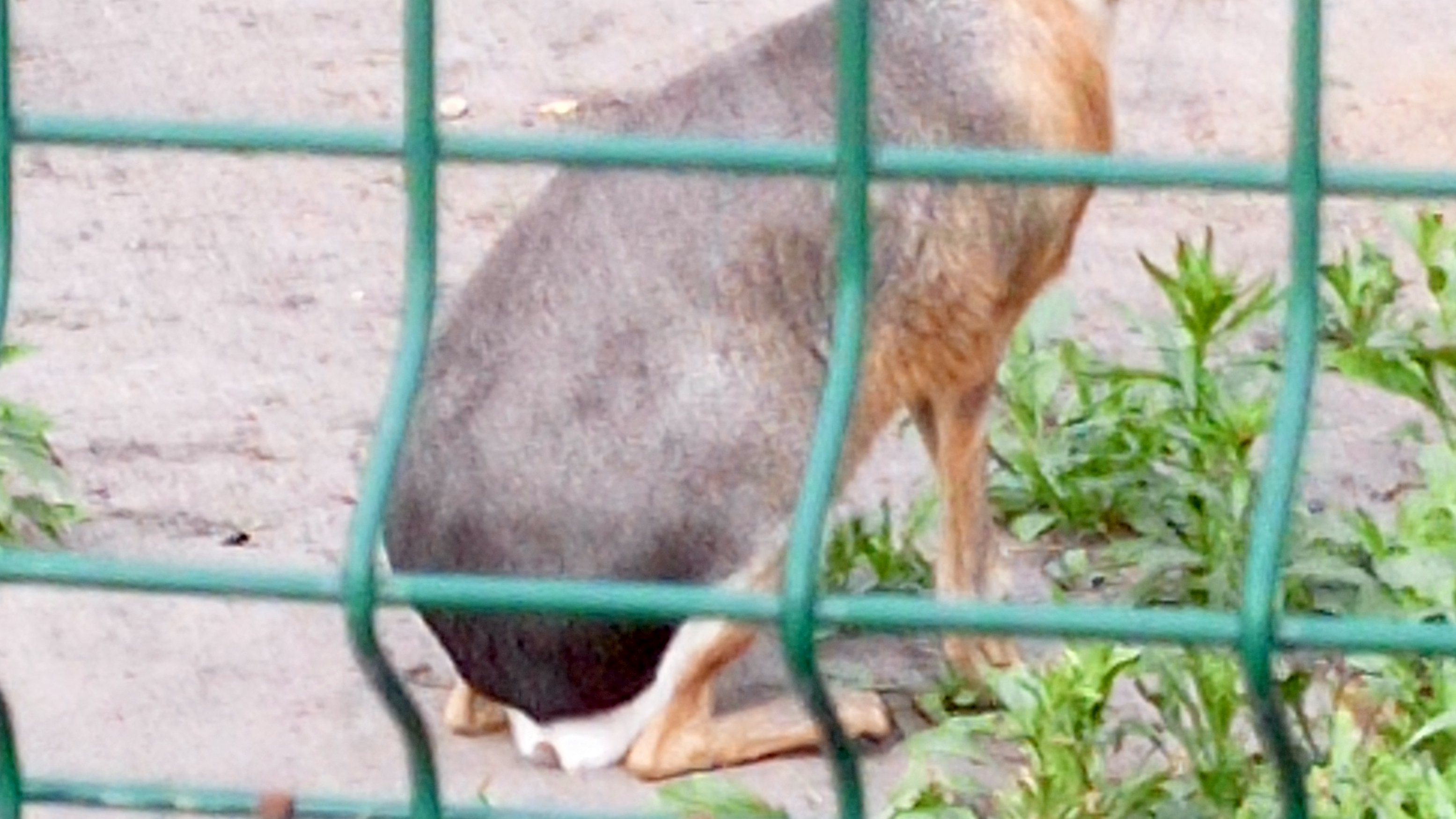какого блогера еще нарисовать??