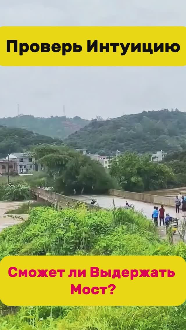 Проверь Интуицию