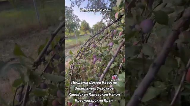 ПРОДАЁТСЯ ДОМ 3,470,000 С ВЫХОДОМ В СЛАДКИЙ ЛИМАН , ПЕРЕЕЗД НА КУБАНЬ