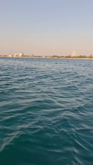 Лора Бронская