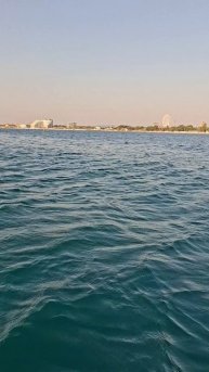 Лора Бронская