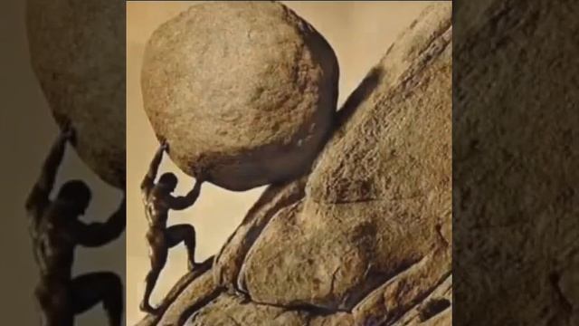 Кот по имени Сизиф