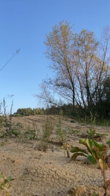 #automobile #smartphone #bmw #эндуро #хейтеры вперед #длявасдрузья #enduro #offroad