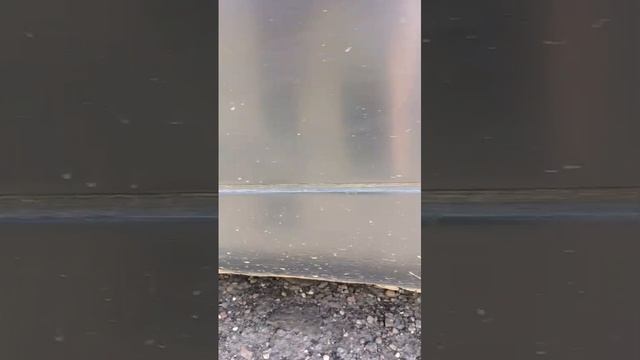 VID-20250727-WA0005.mp4