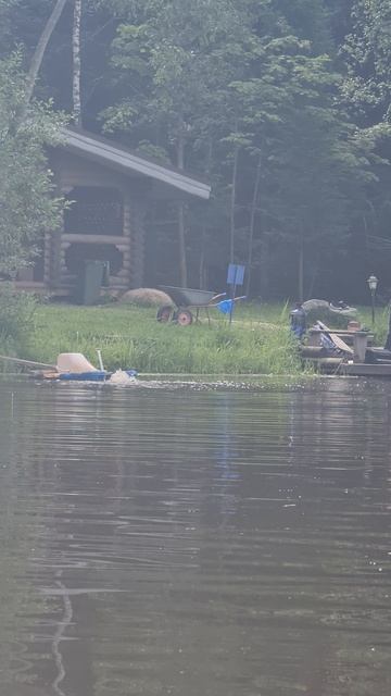 Карп. Вип №6