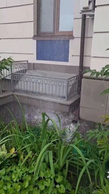 😱🤣🤣Ну что проверим? #смешныевидео #смешно #смех #юмор #вода #дождь