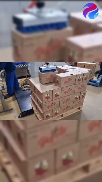 Коллаборативный робот паллетайзер | автоматическая коробов на паллеты