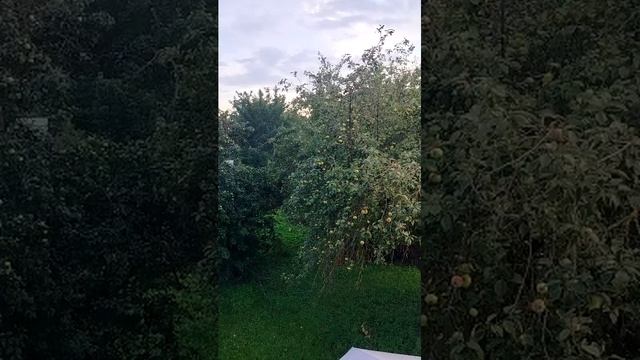 я продолжаю делать ремонт, полюбуйся пока природою
