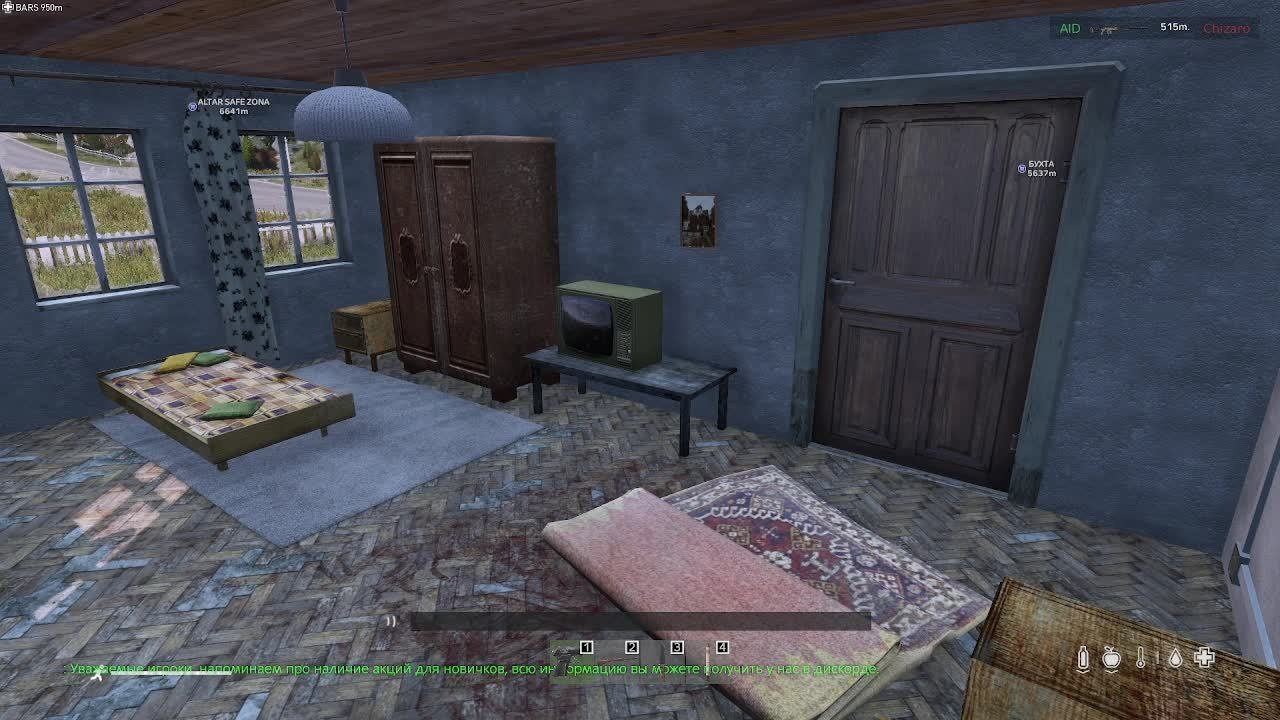 DaYz