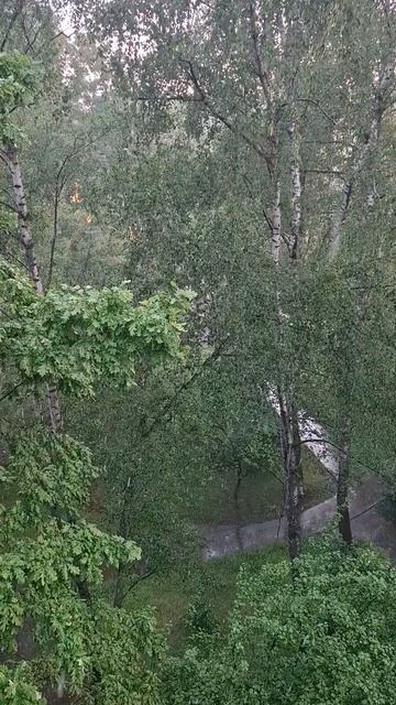 Летняя гроза!