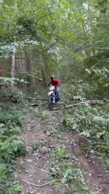 Progasi sm 300 pro#лето #enduro #лес