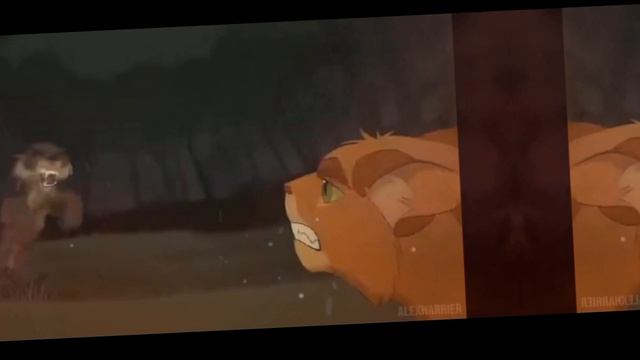 Бой без правил (Огнезвëзд и Звездоцап)