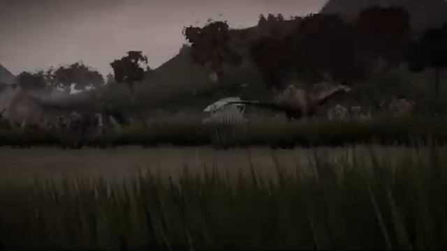 1000261697.mp4