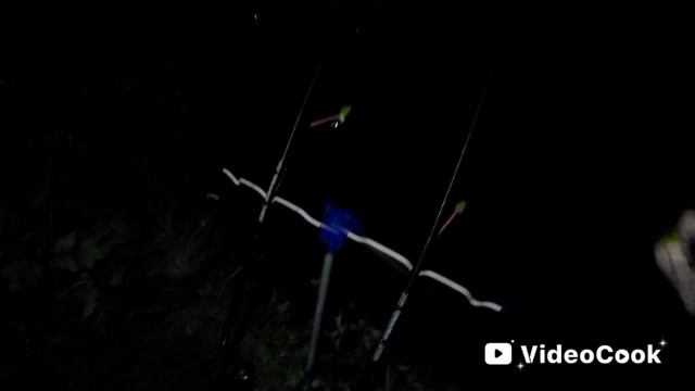 Ночные посиделки, с элементами рыбалки!!!