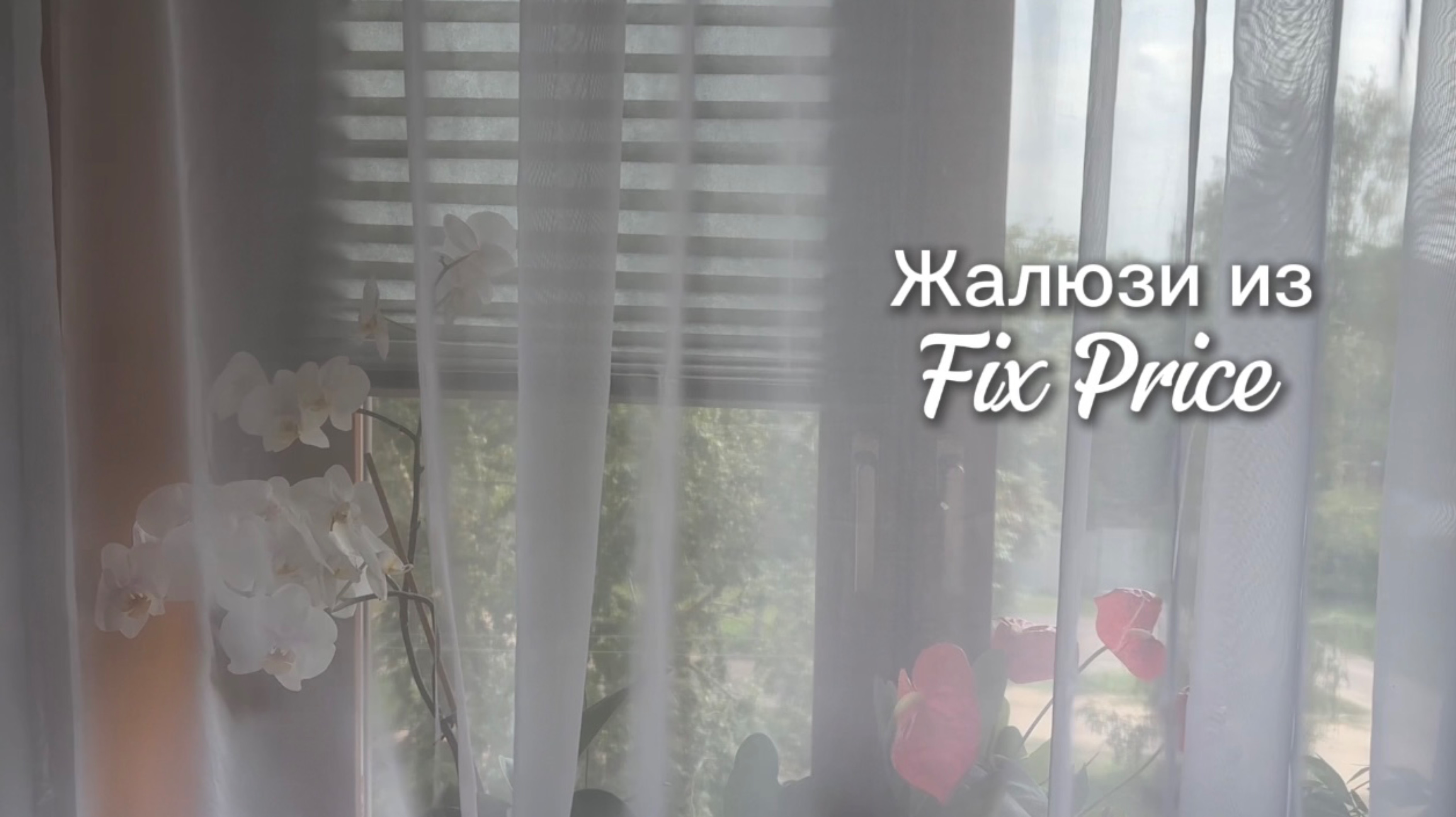 ЖАЛЮЗИ ИЗ FIX PRICE