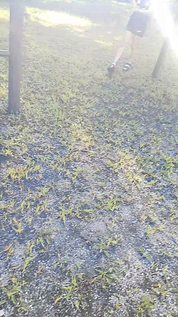 позорно забыл вторая часть позор Изабеллы четвёртая часть