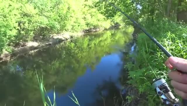 КЛЮНУЛО_ЧТО_ТО_НЕОБЫЧНОЕ_И_ПРЁТ_КАК_ПАРОВОЗ! РЫБАЛКА 2024