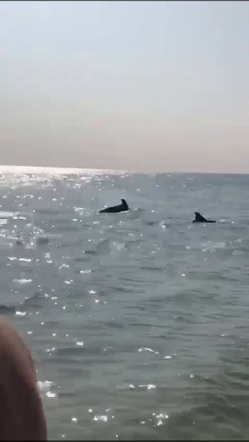1000025741.mp4