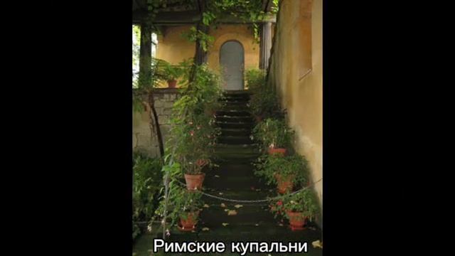 Вокруг Ольгиного пруда. Часть 6.