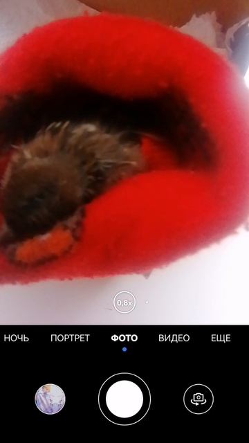 SVID_20250731_110859_1.mp4