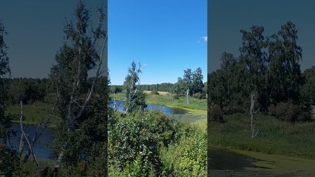 Влог: Мой самый Превосходный месяц Июль 🌞