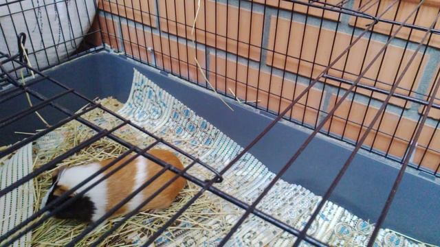 у нас 21 подпичек аболдеть это я просто не знаю