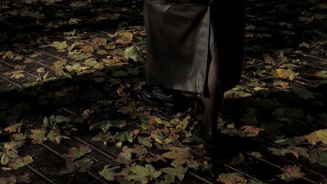 12728666_3840_2160_30fps