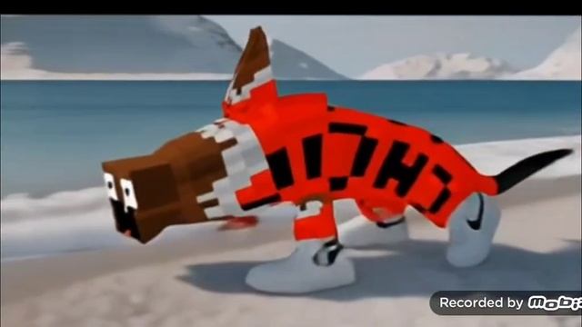 кто такой степонини окткупусини