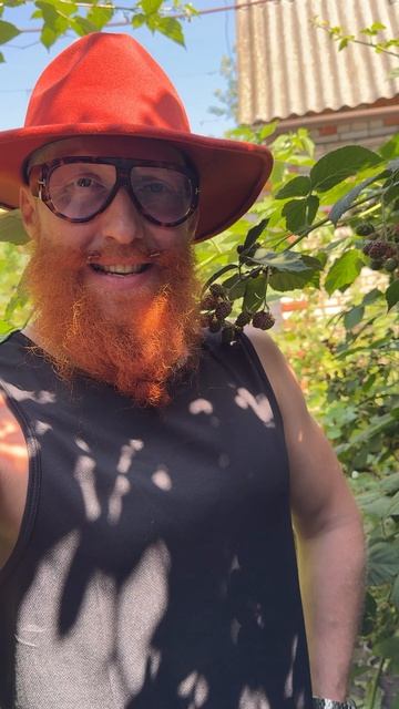 Наслаждаемся последним июльским денёчком