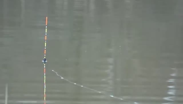 Ловля_разной_рыбы_на_маховую_удочку_с_поплавком_Рыбалка 2025