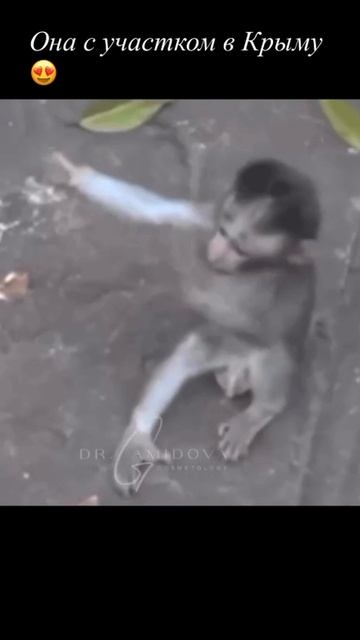 Желание. Большое дело