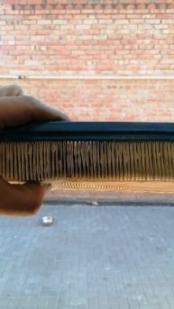 VID_20250731_174048.mp4