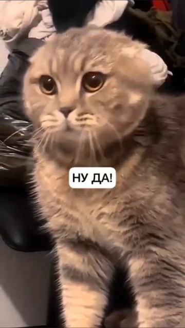 подпишитесь канала 👆👆👆👆😁😁😁