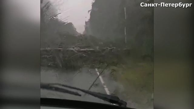 Шторм в Питере 31 июля