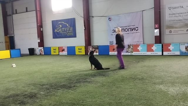 Оришка Обидиенс тренировочные