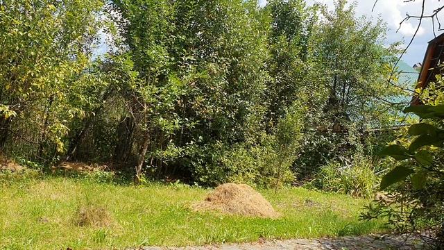 Прозрачное небо с землёй подо мной...