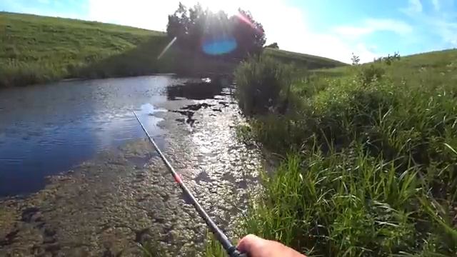 ЛОВЛЯ_ЩУКИ_В_ЗАРОСШЕМ_ПРУДИКЕ!_Рыбалка_на_поппер_и_блесну 2025