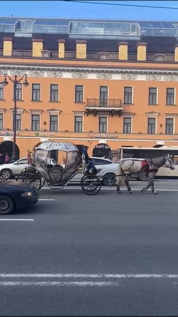 Карета на Невском проспекте, Санкт-петербург