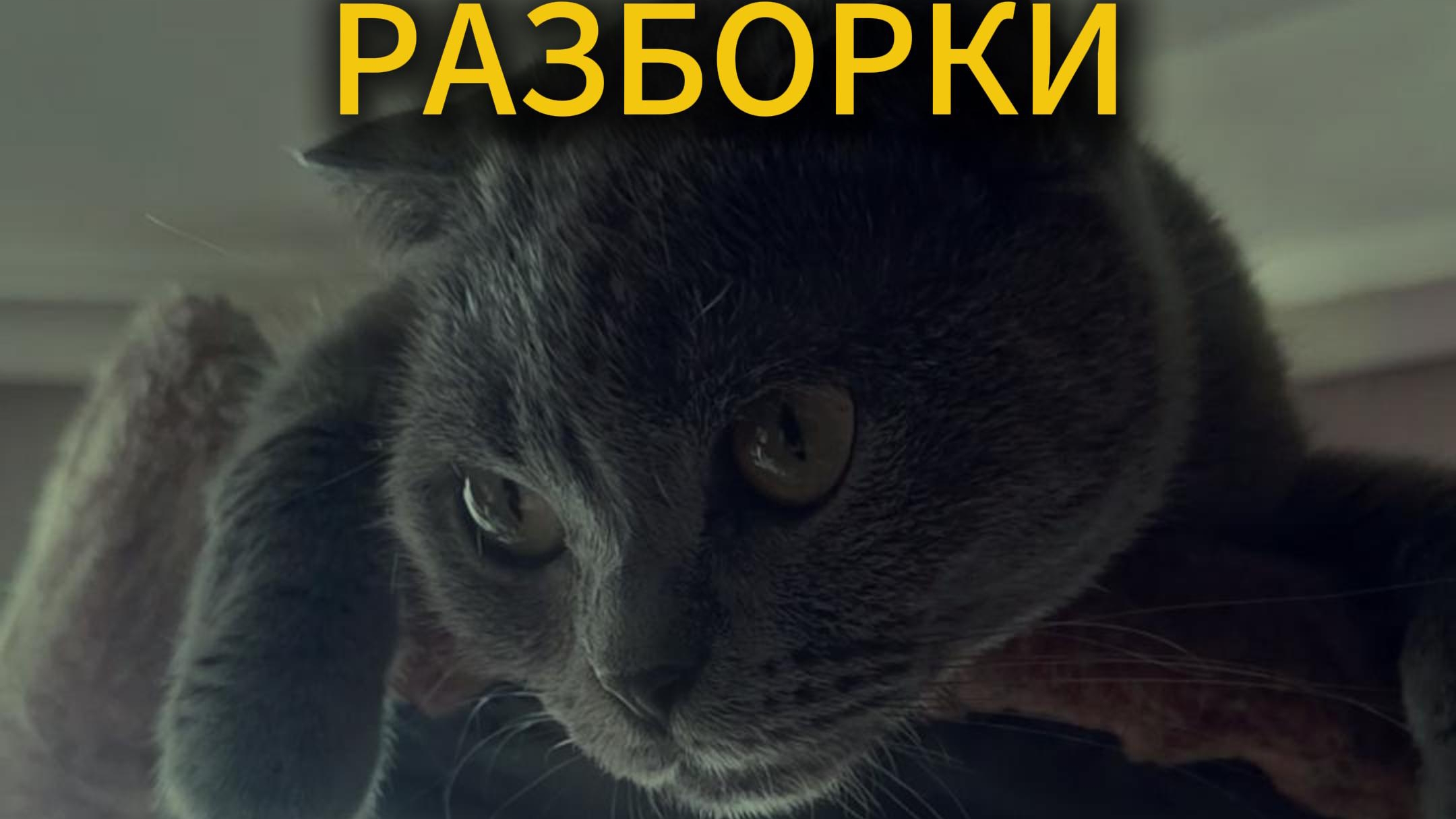 Где же Винсент О'нилл?! Основано на сериале Голяк