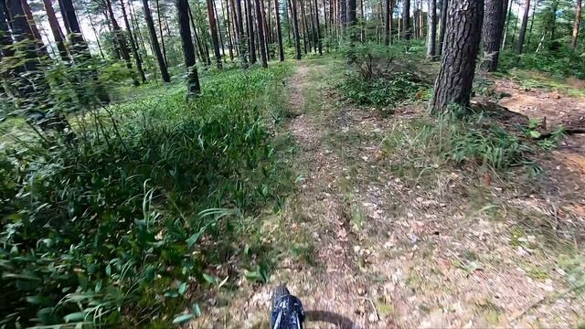 Авито Sur-ron x 2024