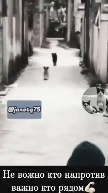 Когда друг рядом