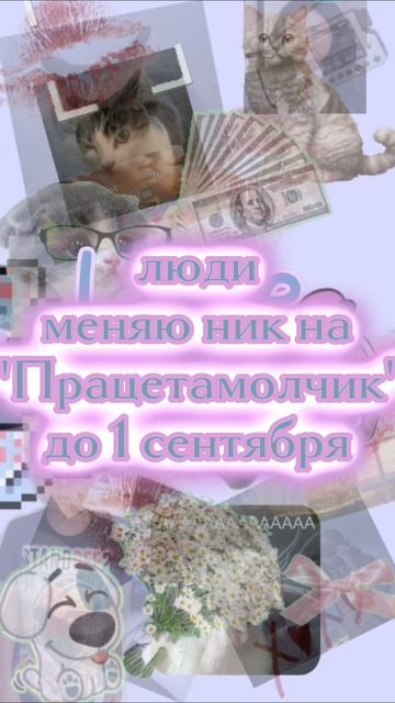 Vasilisa_2024 уходит в рест,а працетамолчик занимает место.