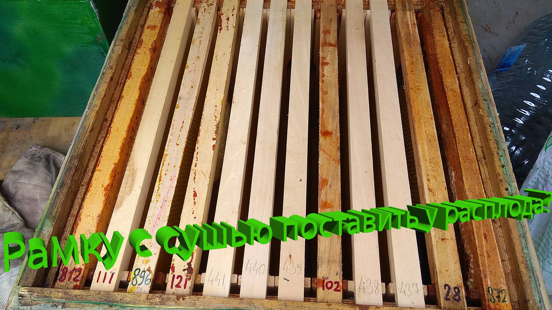 🔍 "Рамку с сушью рядом с расплодом? Разбор ошибок пчеловодов!"