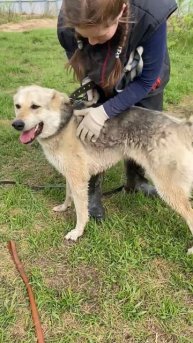 Малыш начинает угасать