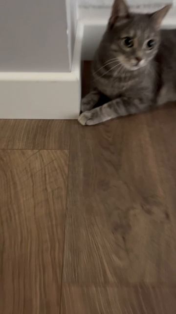 Она дом не разнесет..?🫣🥲