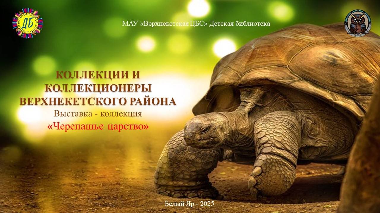 ЧЕРЕПАШЬЕ ЦАРСТВО (Живут на свете чудаки и имя им – коллекционеры, вып.9)