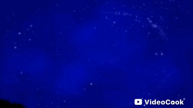 КОТЫ-ВОИТЕЛИ СТАНЬ ДИКИМ РАЗГОВОР СИНЕЙ ЗВЕЗДЫ И ПЕСТРОЛИСТОЙ.