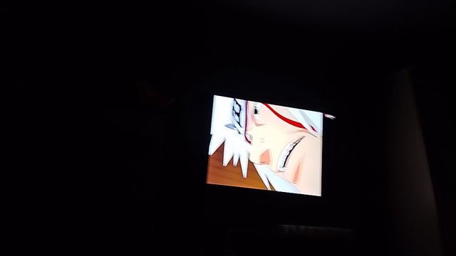 всем спокойной ночи